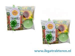   Cadeautje Zonnebloem
