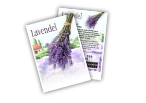 Zakje Lavendel Zaad