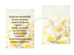 Troostkaartje A7 “Zoals een madeliefje de zon omarmt…” 