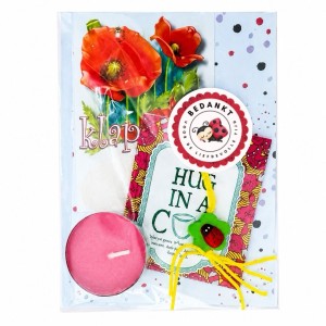 Cadeautje Lieveheersbeestje Bedankt