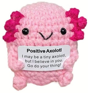 Positieve Axolotl Knuffeltje met Kaartje – Klein Cadeautje vol Positiviteit