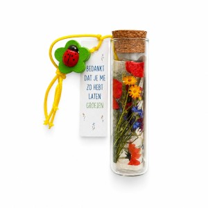 Juffencadeau veldbloemenmix in glazen buisje - Bedankt dat je me zo hebt laten groeien
