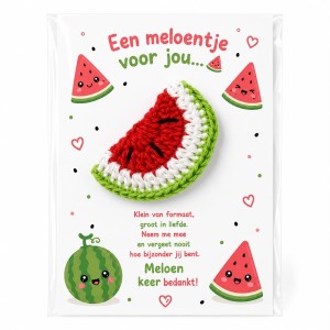 Gehaakt meloentje sleutelhanger – Pocket Hug bedankje